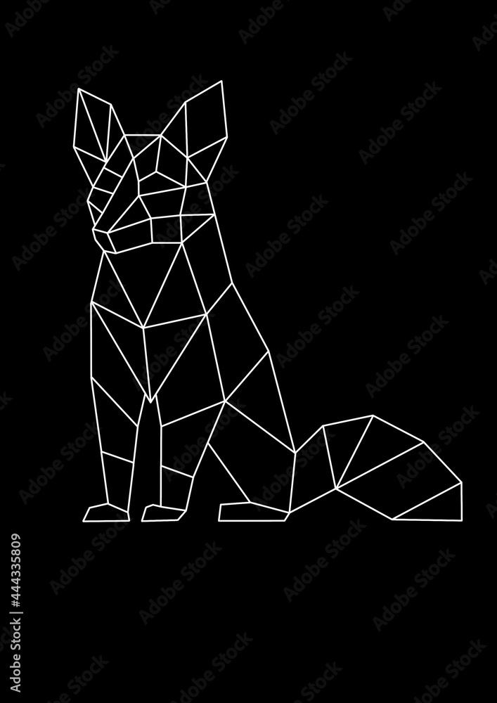 Fototapeta premium FOX LOW POLY BACKGROUND ANIMALS WILD NATURE 
