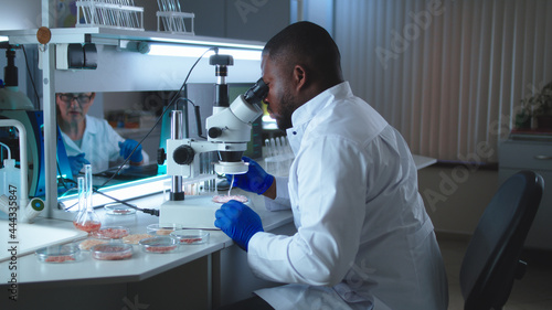Black scientist examining lab meat under microscope
