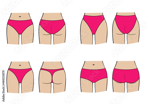 Types of women's panties. Vector set of underwear on figure.