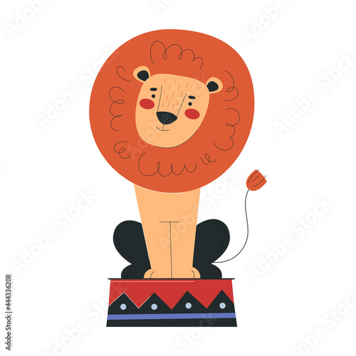 Beautiful lion is working in circus. Concept of circus characters doing tricks and stunts for children, adults. Positive lion doing tricks. Flat cartoon vector illustration