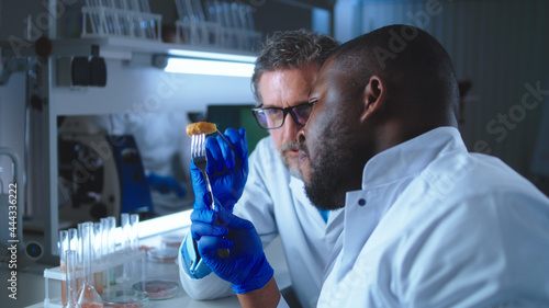 Mature scientist watching black colleague eating cell based meat photo