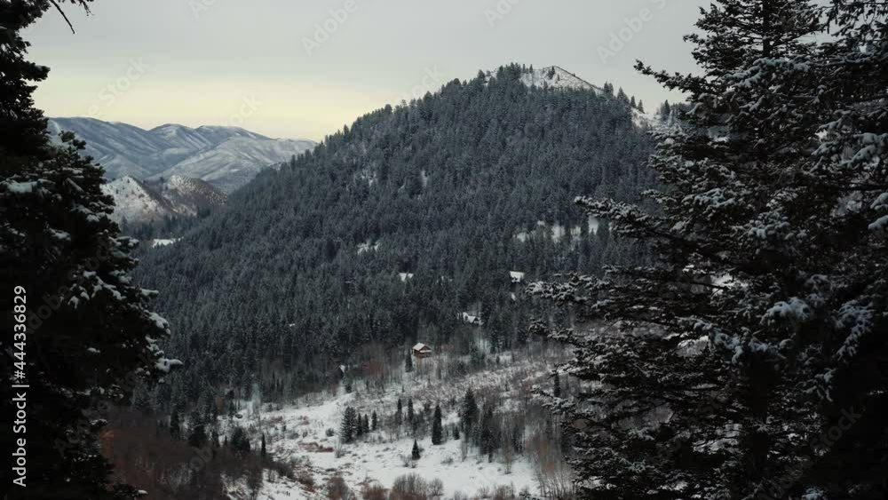 Tilt up revealing Sundance Ski Resort from the Stewart Falls hike through trees. A snowy rocky mountain covered in Pine trees with a winter sunset on a cold December evening in Provo, Utah. Tilt up revealing Sundance Ski Resort from the Stewart Falls hike through trees. A snowy rocky mountain covered in Pine trees with a winter sunset on a cold December evening in Provo, Utah.