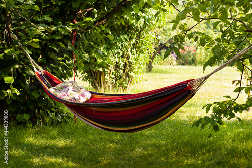 Obraz na płótnie Rainbow hammock in the garden w salonie