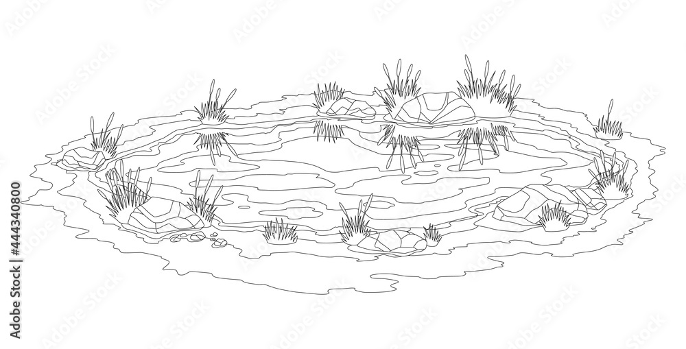 Picturesque natural pond. Concept of open small swamp lake. Water pond with reeds. Natural countryside landscape. Monochrome game scene in pencil sketch style