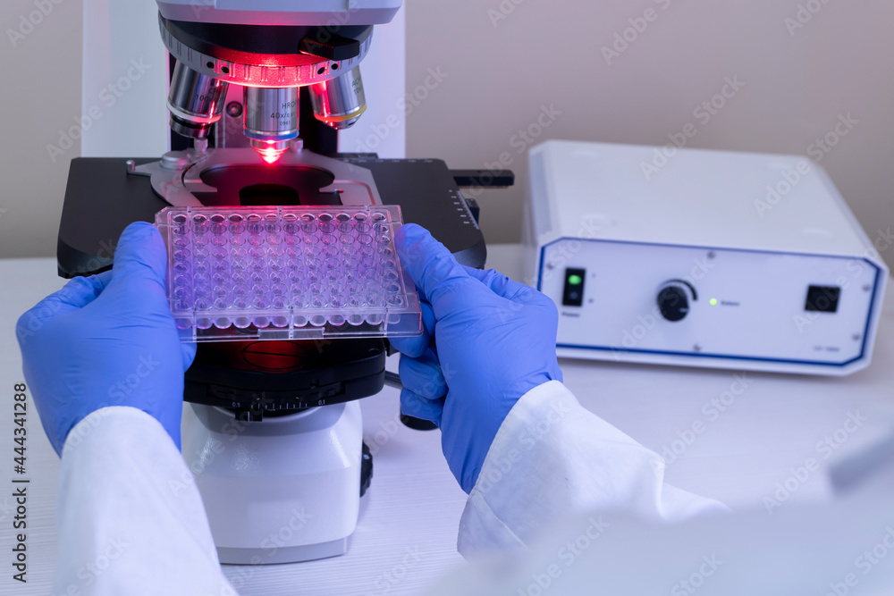 A scientist prepares to analyze samples under a microscope using red