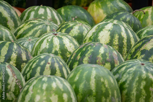 Lot of ripe watermelons on the plantation. A pile of ripe watermelons for sale at the street market.