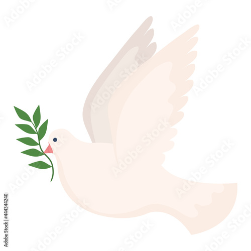 peace dove with branch
