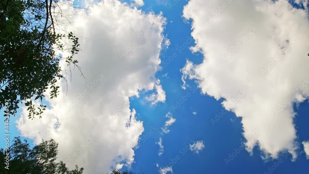 Blue sky white clouds. Puffy fluffy white clouds. Cumulus cloud cloudscape timelapse. Summer blue sky time lapse. Nature weather blue sky. Cloud time lapse nature background Blue sky white clouds. Puffy fluffy white clouds. Cumulus cloud cloudscape timelapse. Summer blue sky time lapse. Nature weather blue sky. Cloud time lapse nature background