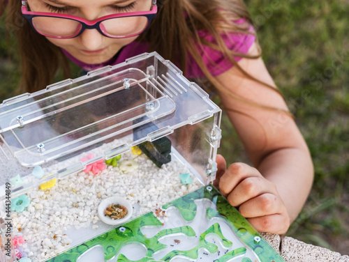 Child watching ants in an ant farm