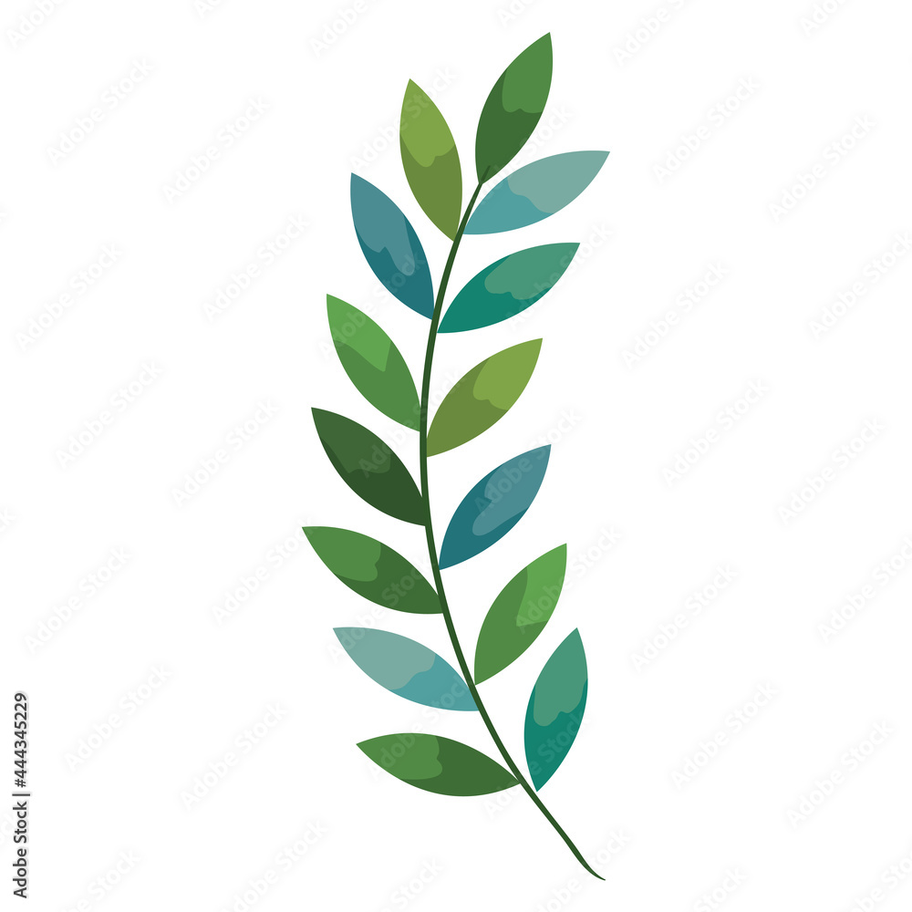 olive branch leafs