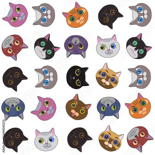 seamless cheerful pattern with muzzles of cats on a white background, digital art . Photoshop