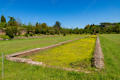 Panorama of the Circus of Maxentius on a beautiful spring day with buttercups on the blue sky and clouds in the middle of the ruins of the central spine of the circus. Rome, Appia Antica, Italy. photo