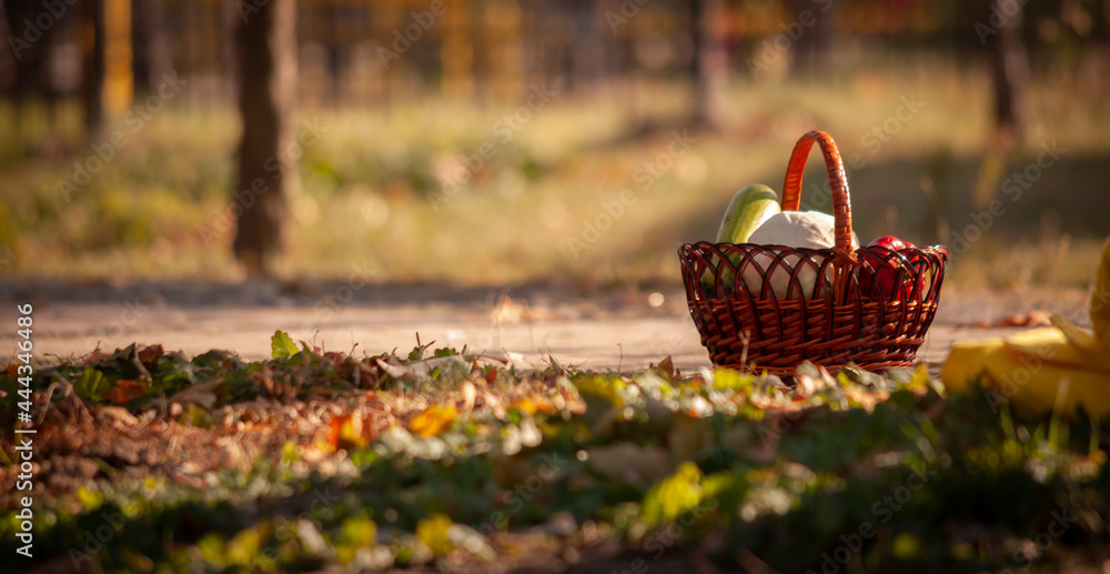 wicker basket with vegetables in the park wicker basket with vegetables in the park