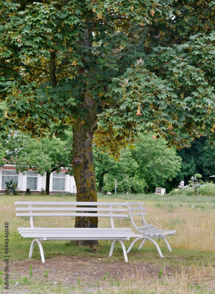 Weiße Parkbank unter Baum