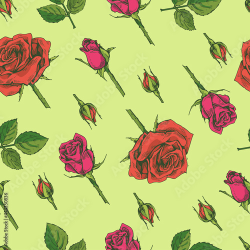 Seamless Pattern with Roses . Detailed hand-drawn sketches, vector
