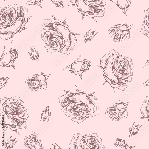 Seamless Pattern with Roses . Detailed hand-drawn sketches, vector