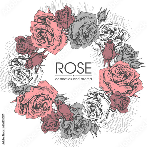 Frame with Roses . Detailed hand-drawn sketches, vector
