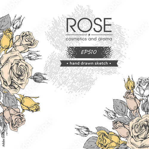 Background with Roses. Detailed hand-drawn sketches, vector