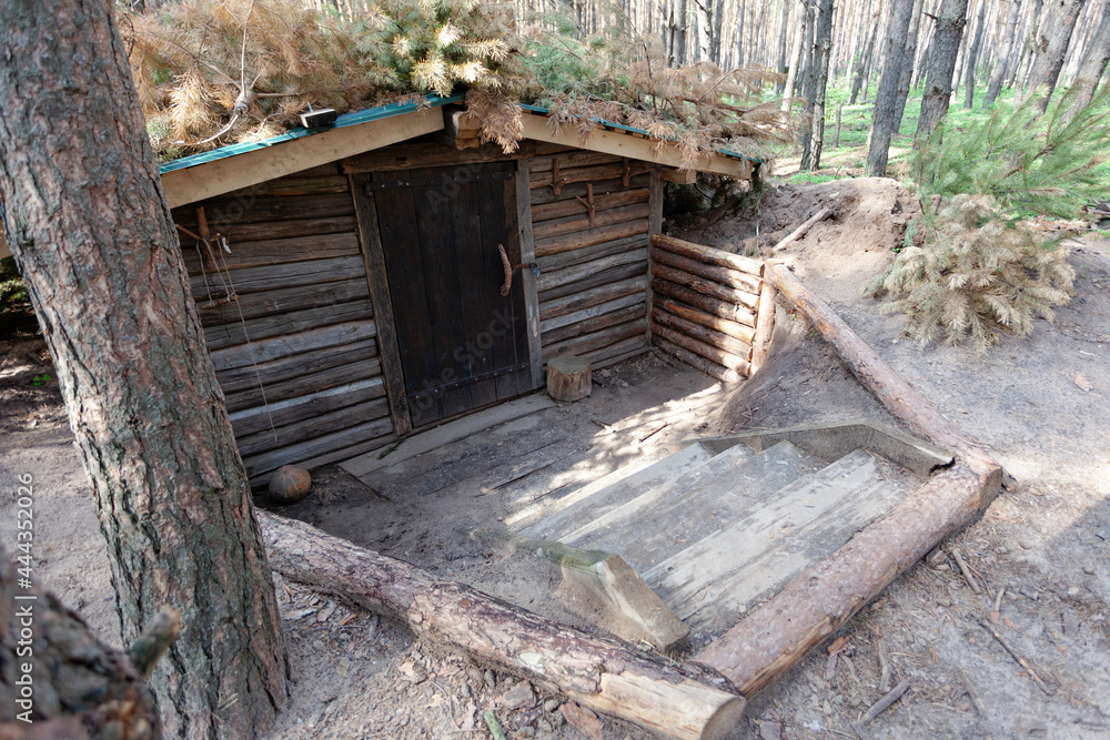 entrance to the dugout, dugout in the summer forest entrance to the dugout, dugout in the summer forest