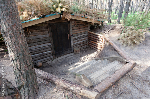 entrance to the dugout  dugout in the summer forest