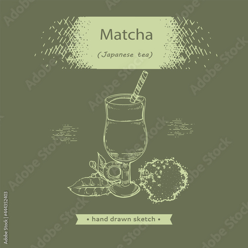 Hand-drawn sketch fresh matcha drink.