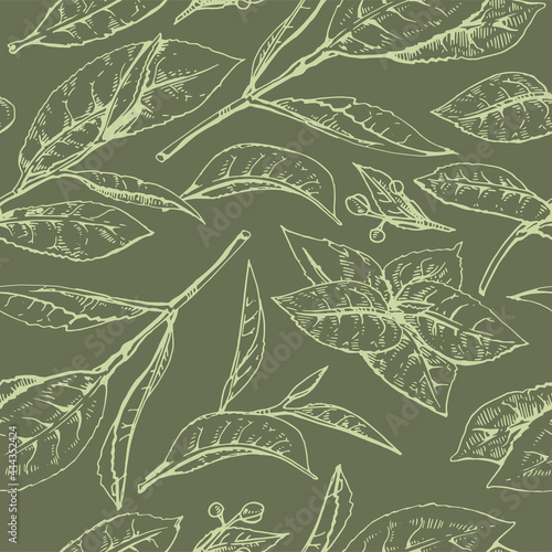 Hand-drawn seamless pattern matcha leaves on the green background.