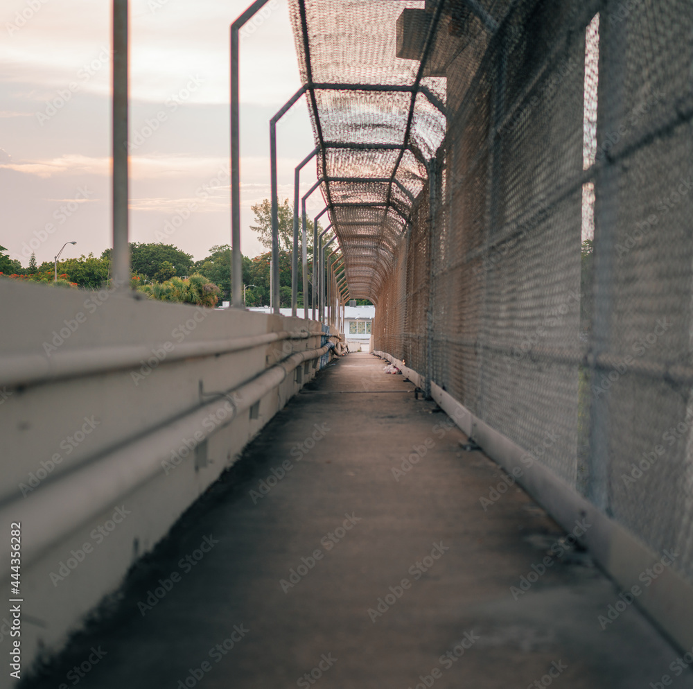 Fototapeta premium bridge over the river miami city structure 