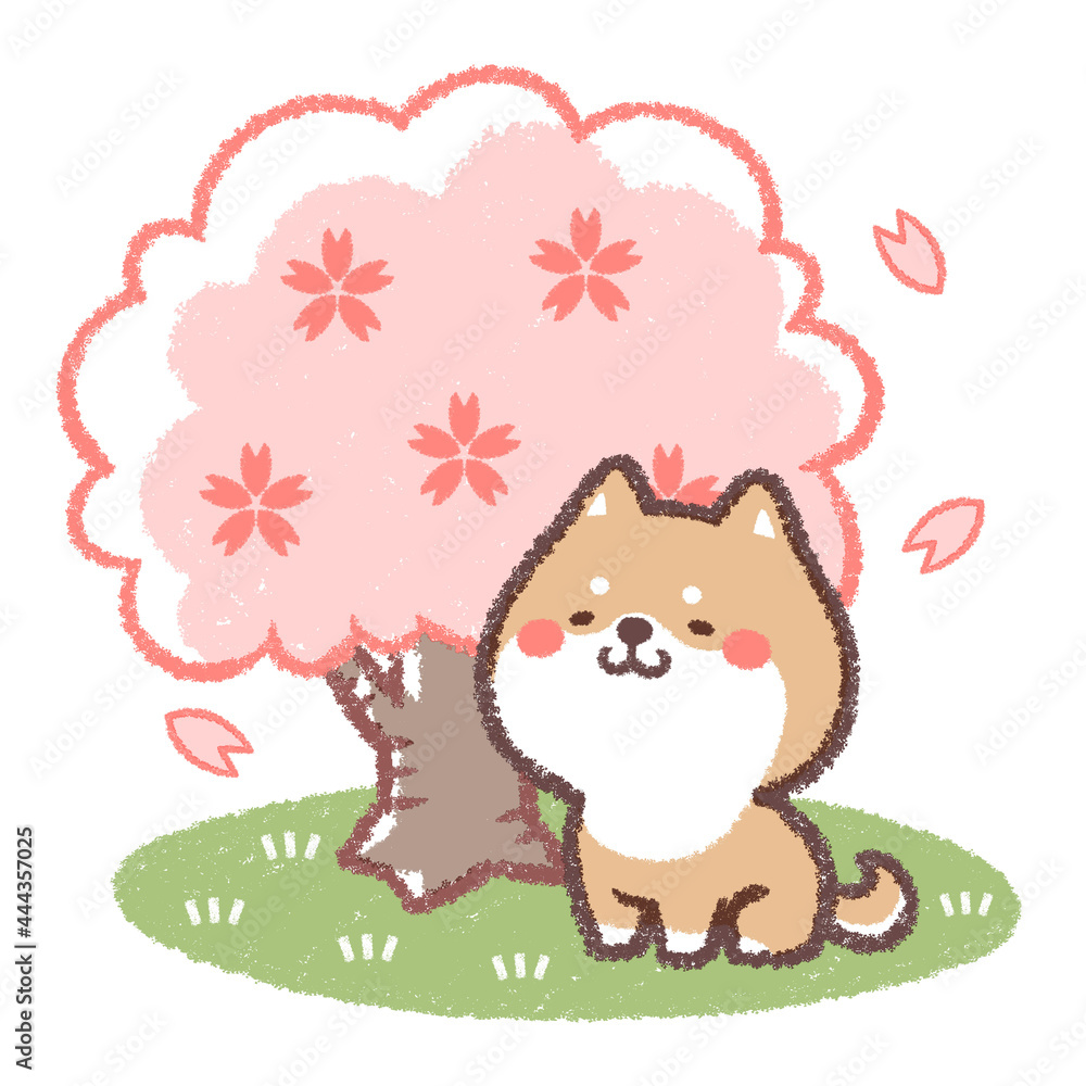 柴犬と桜の木 柴犬と桜の木