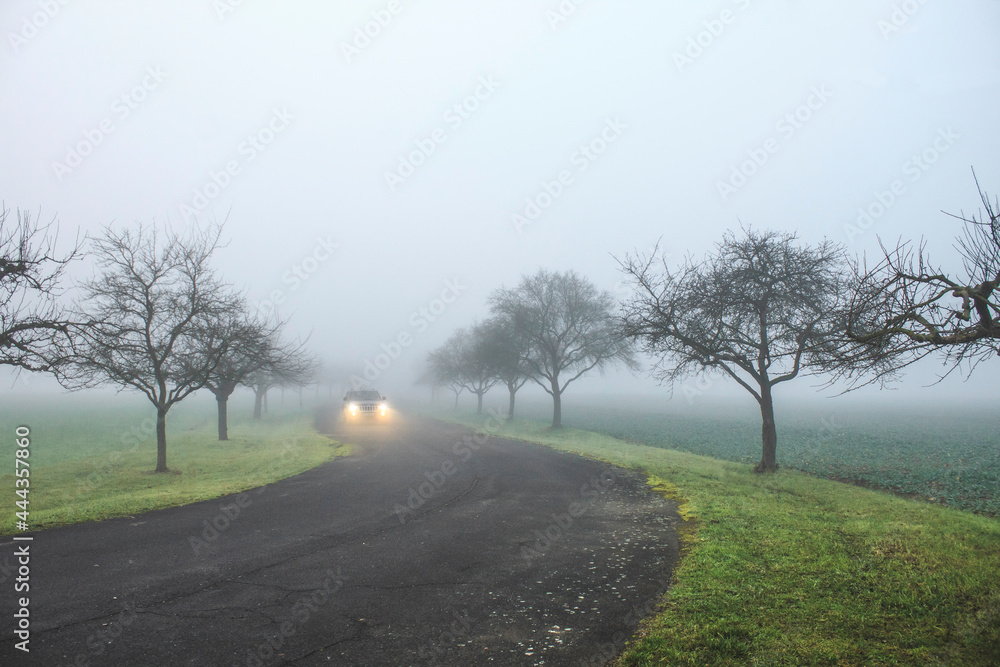 Fototapeta premium road in the field