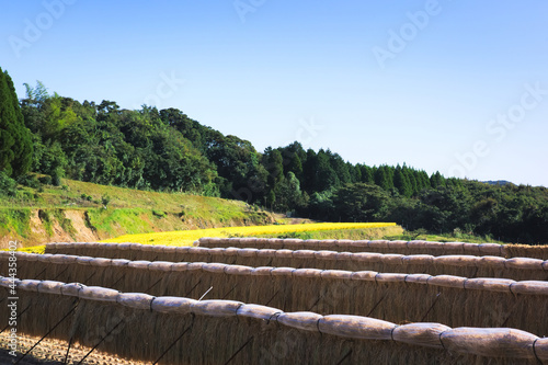 尾木場の棚田と稲の掛け干し	 photo
