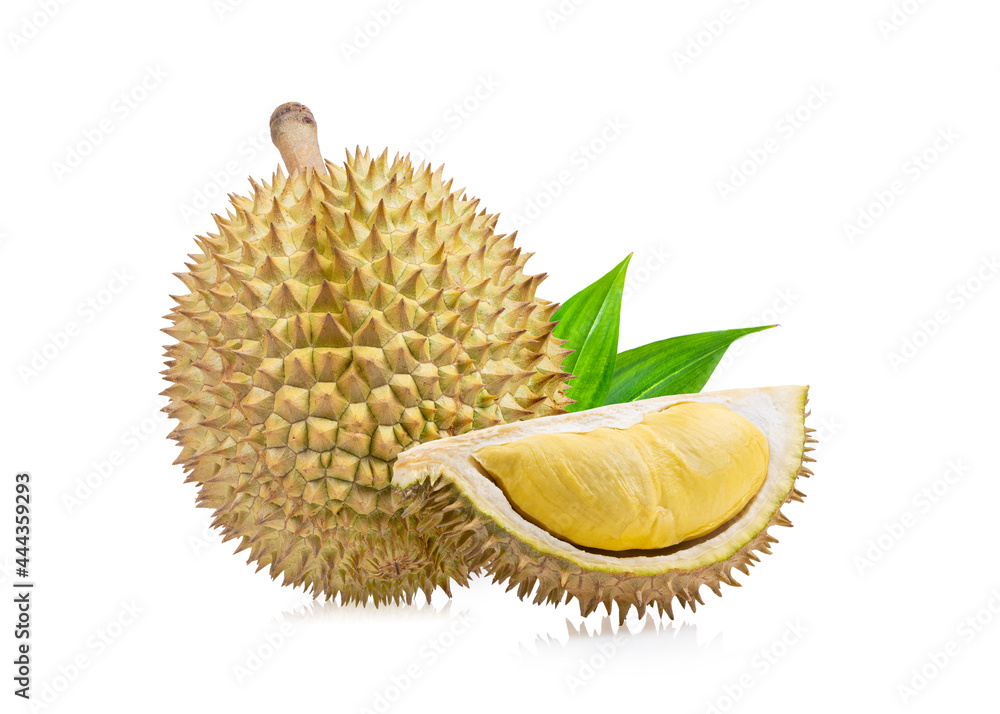 Obraz premium Durian isolated on white