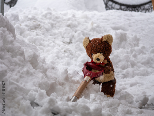 Teddy Bear Shoveling Snow, closeup