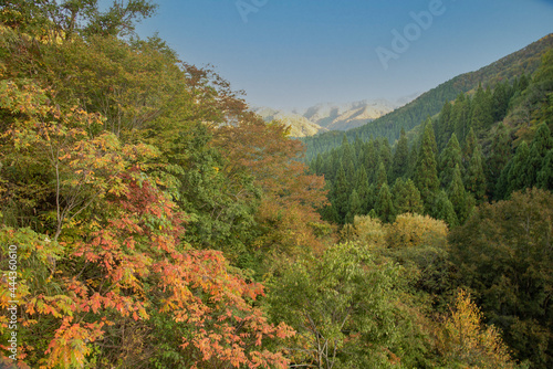 兵庫県・山なみの秋の風景 