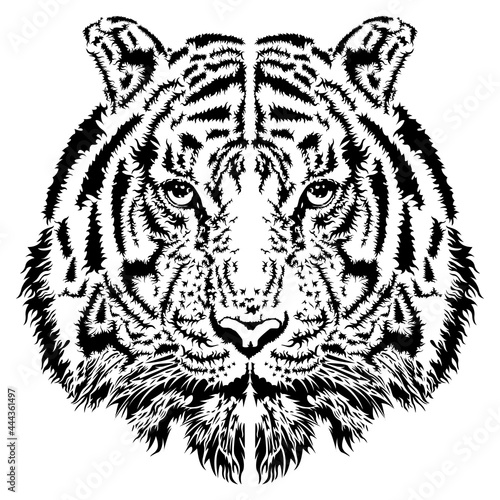 Tiger Eyes Mascot Graphic in white background. vector