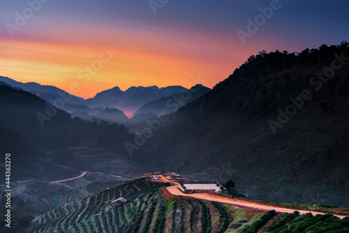 Scenic landscape of Rai Cha 2000 Royal Project Tea Plantation at Sunrise in Winter at Doi Ang Khang Mountain , Fang District, Chiang Mai, Thailand photo