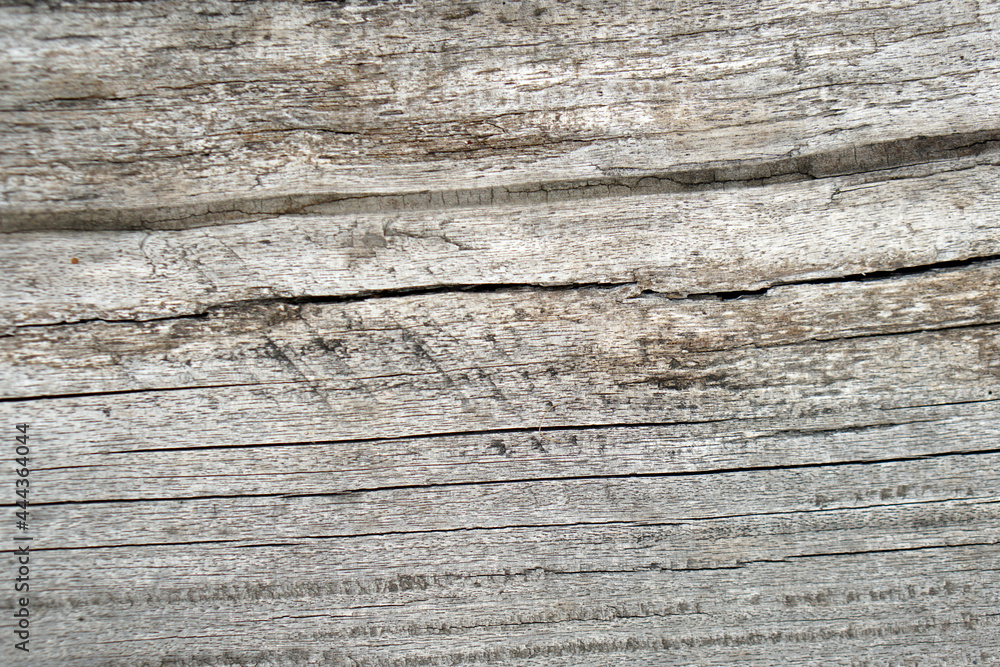 Textures and patterns of old wood.Very old wood in vintage tones Textures and patterns of old wood.Very old wood in vintage tones