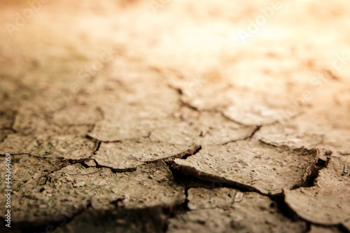 Cracked Dry Soil Ground. Ecology System Crisis, Global Warming Issues Concept. Land without Water. High Temperature. Shading Sunlight. Close up and selective focus