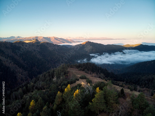 view from a drone at dawn in the mountains  aerial view through the clouds with fog