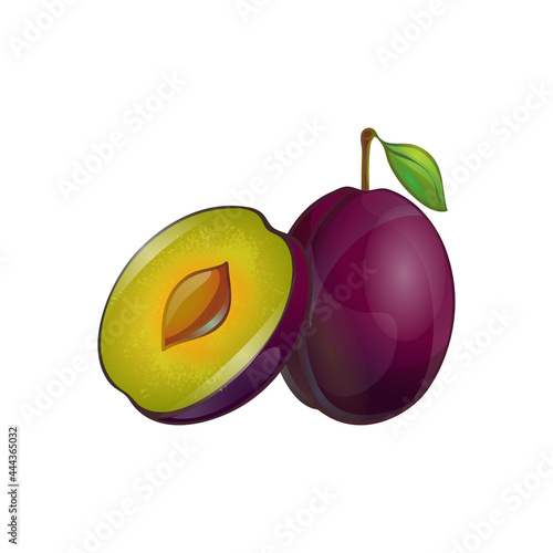 purple plum (Prunus domestica) isolated on a white background