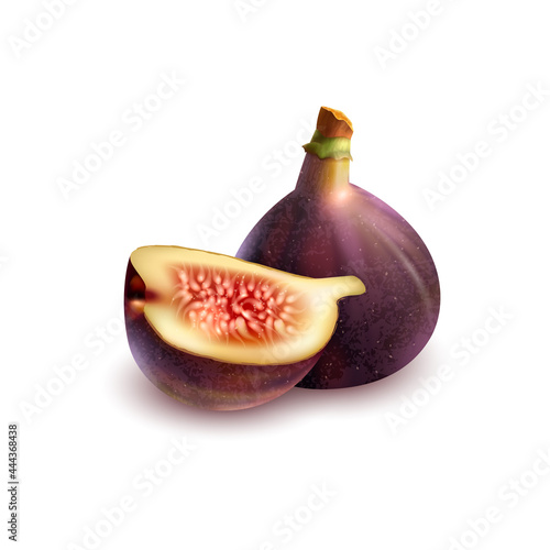 fig or Bourjasotte Grise(Ficus carica) isolated on a white background