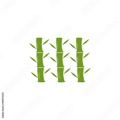 Bamboo tree logo design template