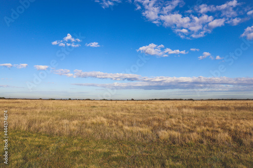 grasslands and blue sky