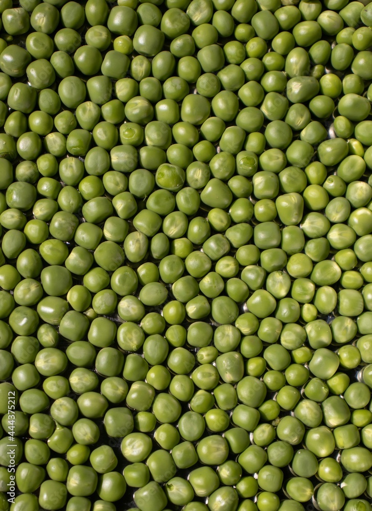 Organic Green Pea Seed Background and Wallpaper in Vertical Orientation Organic Green Pea Seed Background and Wallpaper in Vertical Orientation