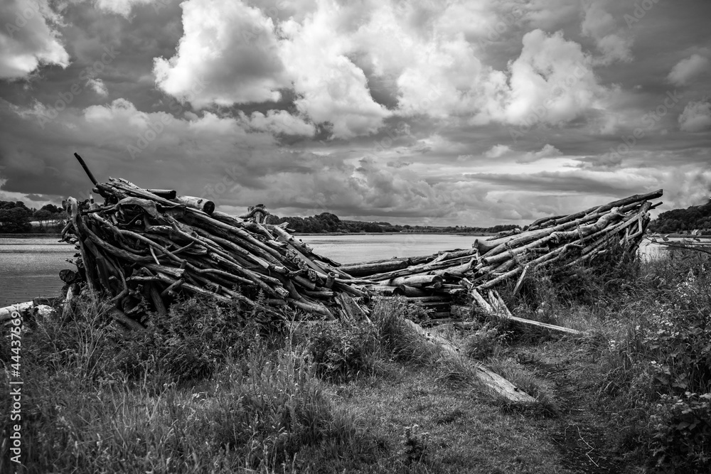 Boat of twigs