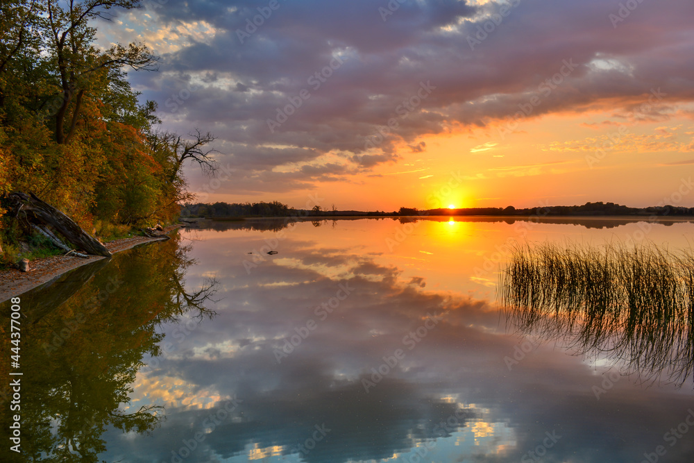 Sunset lake with reeds in rural Minnesota, USA North Turtle Lake
Sunset lake with reeds in rural Minnesota, USA North Turtle Lake