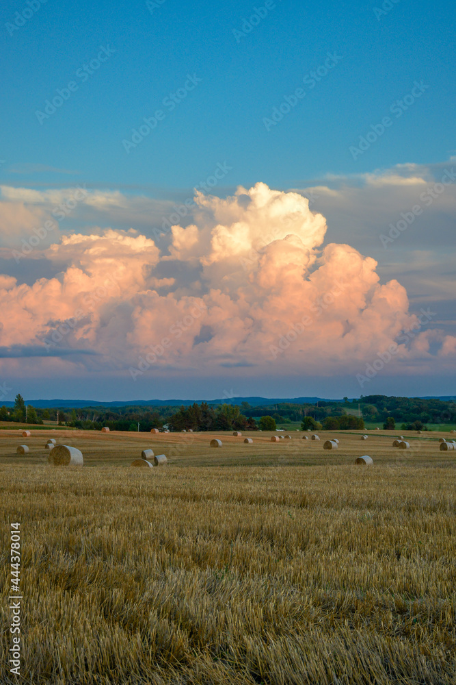Fototapeta premium A field of straw bales with beautiful cloud formation looming above them in rural Minnesota, USA. 