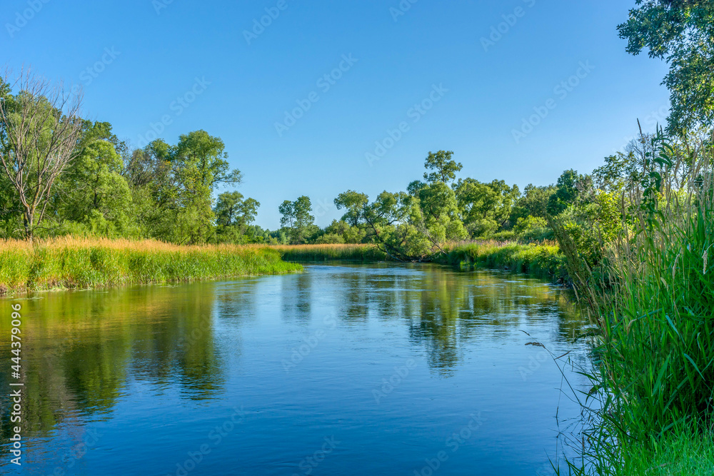 Fototapeta premium Ottertail River on a beautiful sunny summer day in Rural Minnesota, USA with nice reflections in the water. 