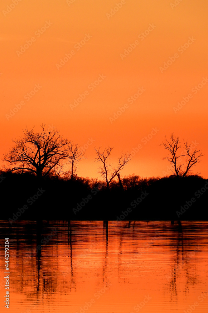 Orange Autumn sunset  with reflection of trees in silhouette at North Turtle Lake in Minnesota, USA
