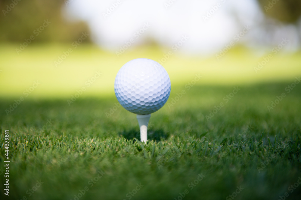 Green grass with golf ball close-up in soft focus at sunlight. Golf playground for golf club concept. Green grass with golf ball close-up in soft focus at sunlight. Golf playground for golf club concept.