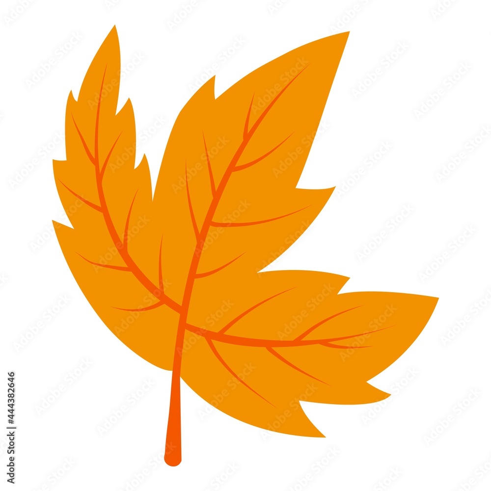 Fototapeta premium Yellow leaf icon isometric vector. Autumn symbol. Canadian dry maple leaf